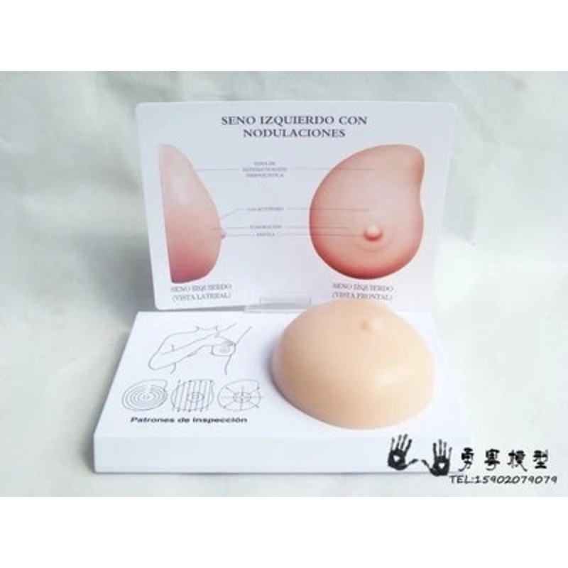 Pathological breast model Breast self-examination model Breast lump soft material silicone family planning office teaching model