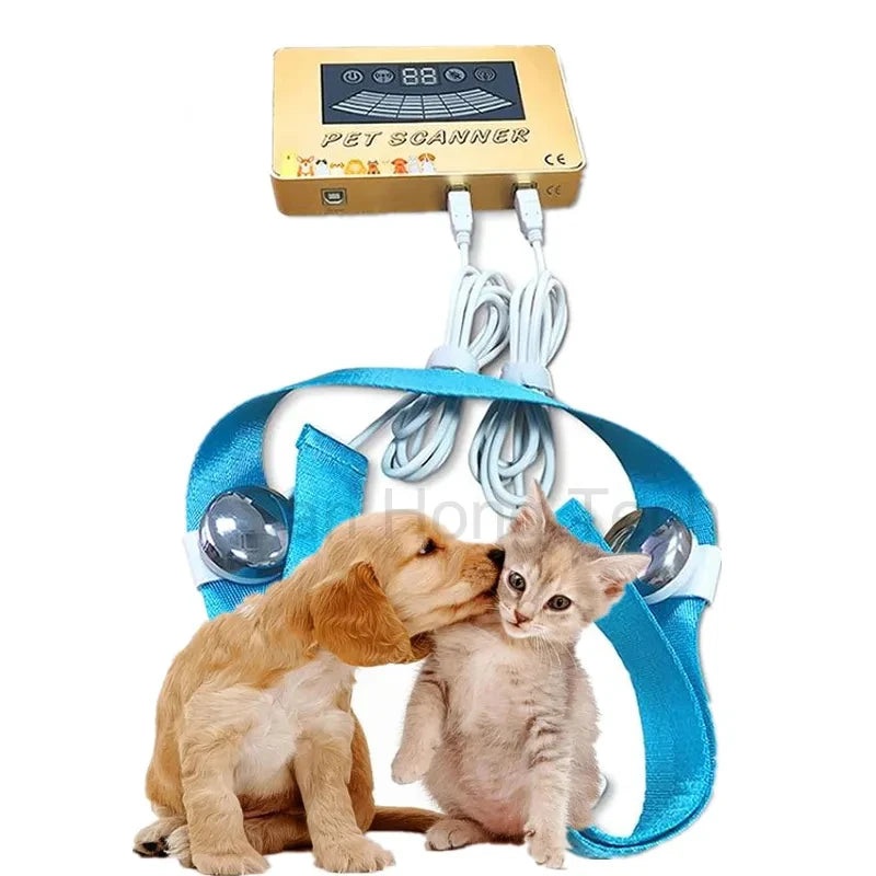 Pet quantum scanner for detecting Dog and Cat Animal Quantum Resonance Magnetic Body Health Analyzer for clinic