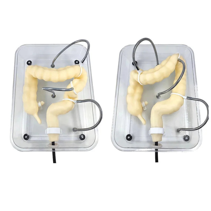 Soft Colonoscopy Training Model Simulator with Adjustable Difficulty, Virtual Colon Model for Medical Surgery Training, Realistic Colon Anatomy with Tumor and Appendix Models