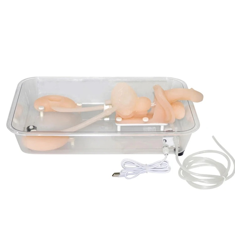 Ureteroscopy simulation training model Urinary organ structure model silicone kidney model