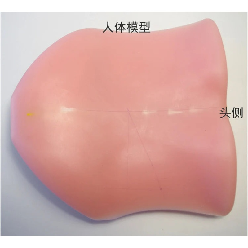 Percutaneous Transforaminal Endoscopic Discectomy Pted Training Model Human Back Model Soft And Punctureable