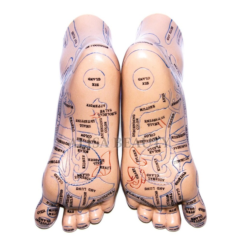High quality 20cm Foot acupuncture model foot acupuncture needle acupoint model foot acupuncture point model Teaching Tool 2pcs