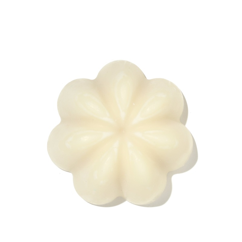Gentle Solid Shampoo|100g