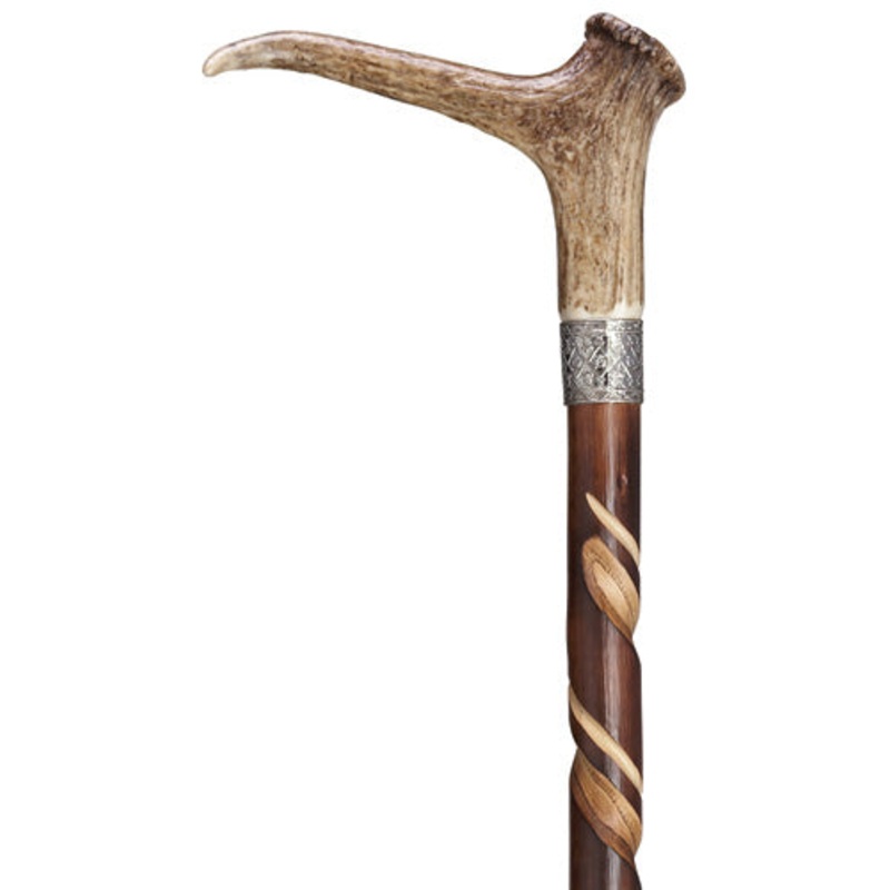 Spiral Stag Horn|36|42|36″|42″