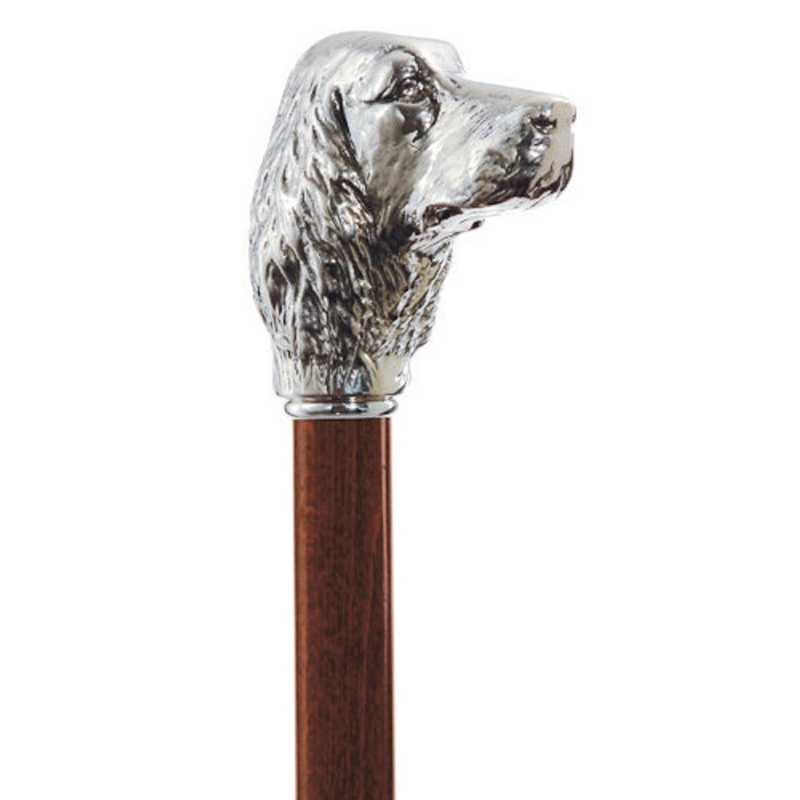 Irish Setter
