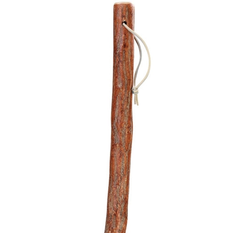 Sassafras Hiking Stick