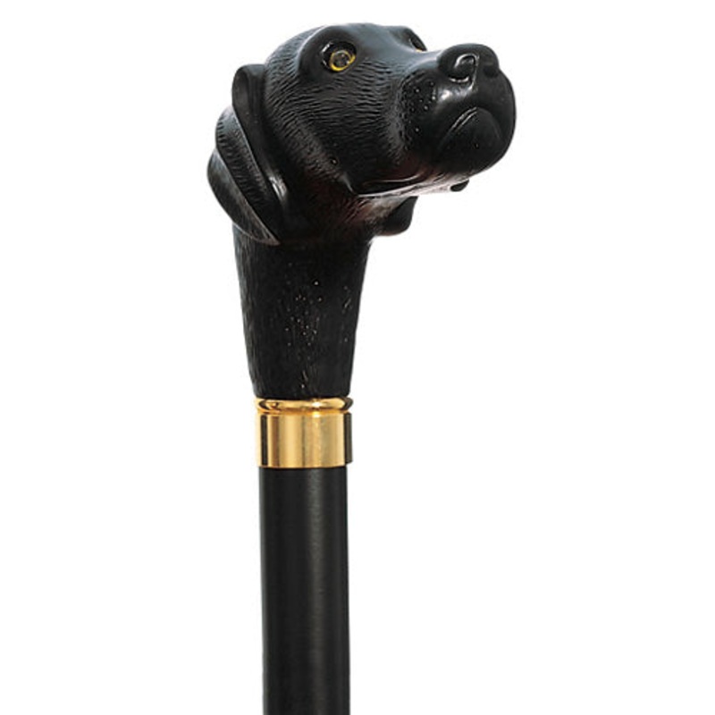 Scout the Black Lab