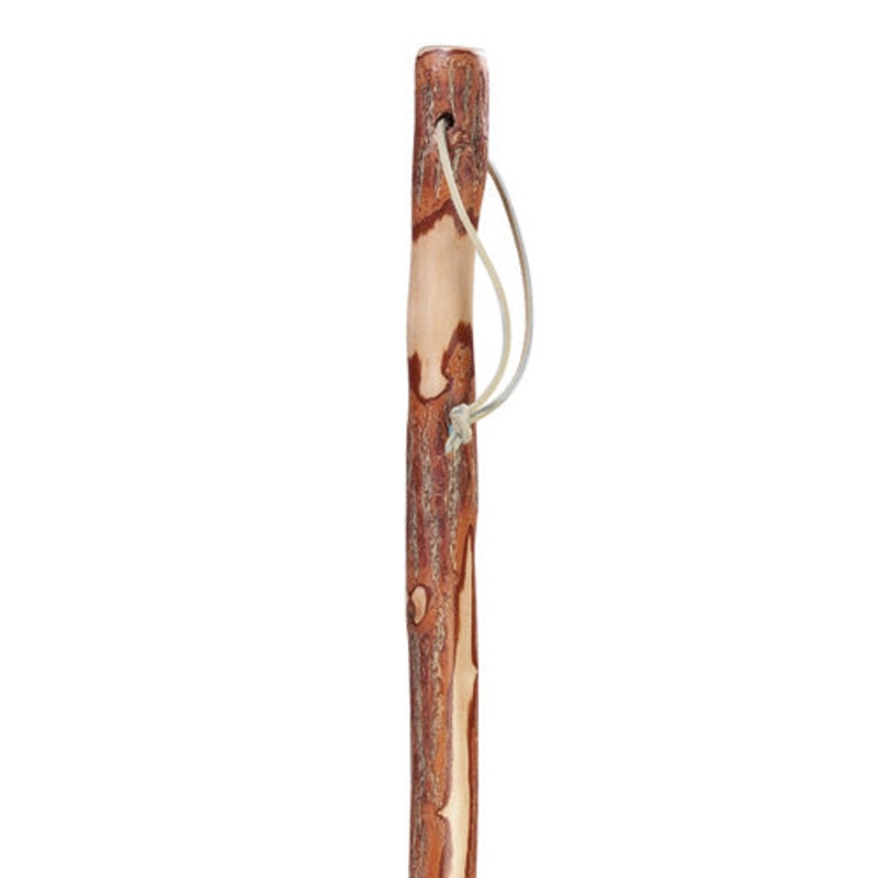 Twisted Sassafras Hiking Staff