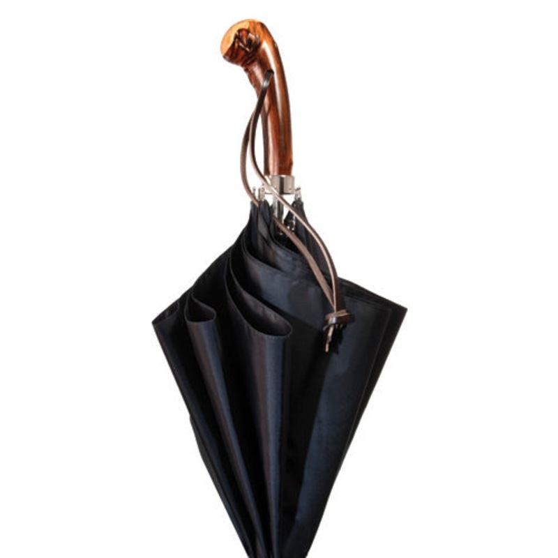 Appalachian Umbrella