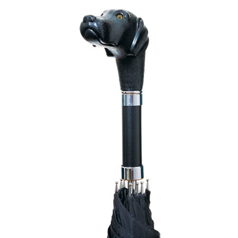 Scout Umbrella