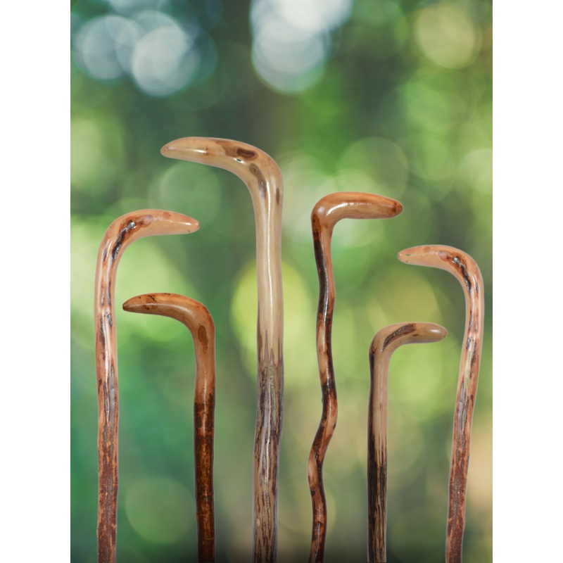 Wild Wood Root Cane