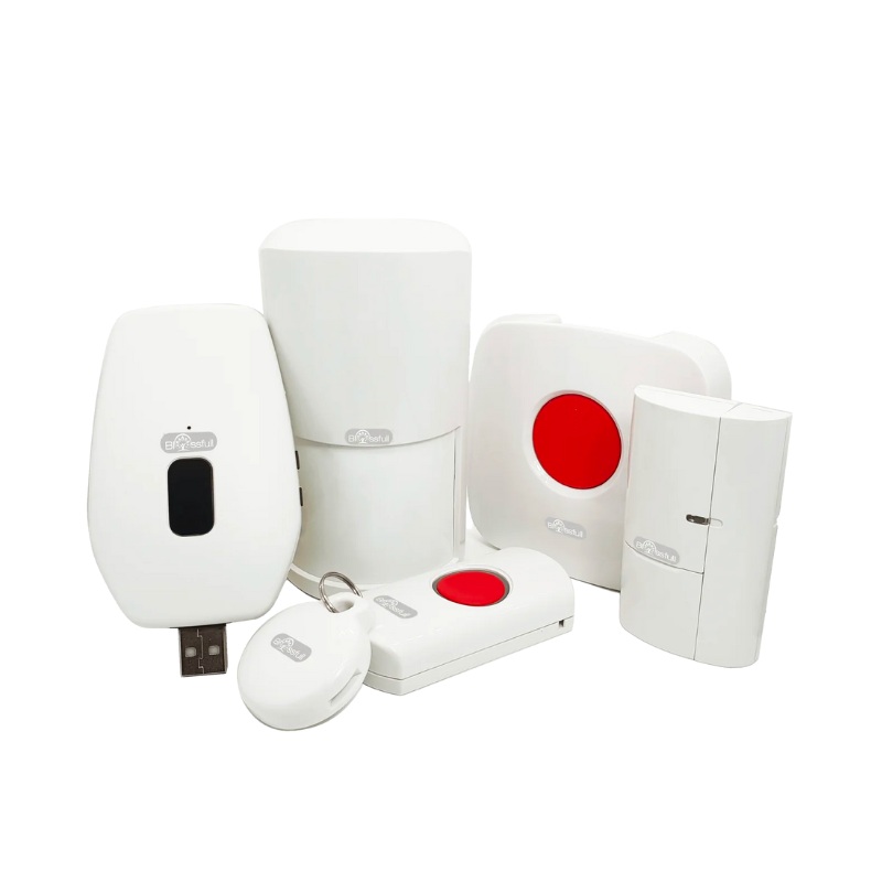 Blissfull Motion Sensor Alert System