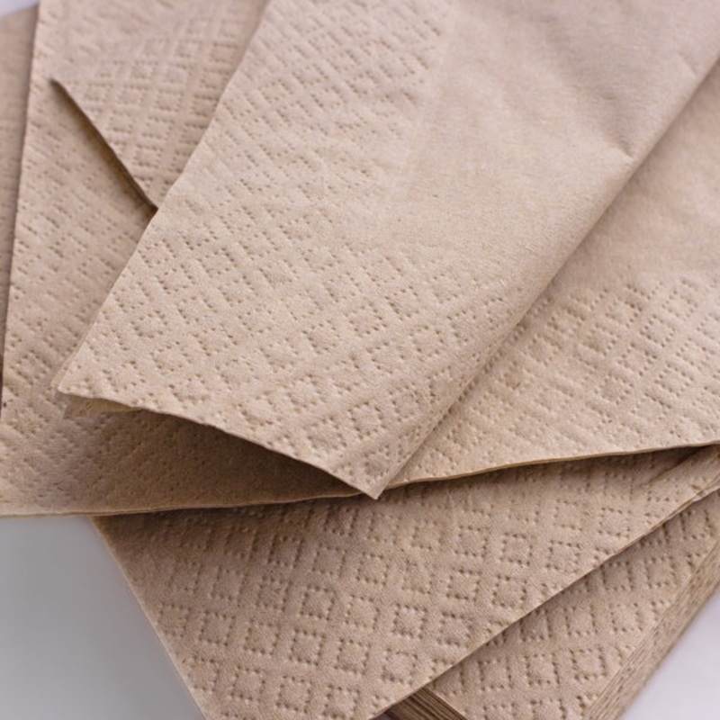 2-Ply Recycled Paper Napkins 33x33cm – Pack Of 100