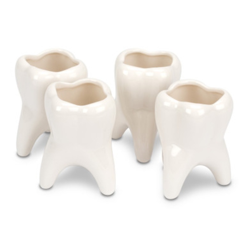 Mini Molar Vases 4/Set