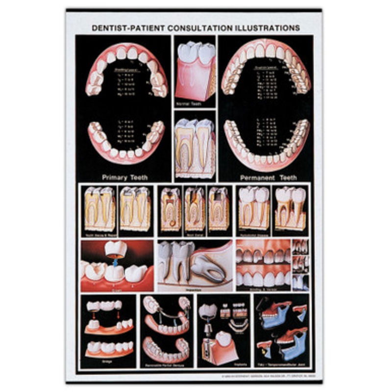 Consultation Illustrations Wall Chart