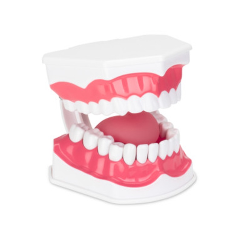 Econo Hygiene Model with Tongue