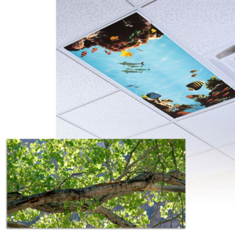 Indian Summer Light Panel