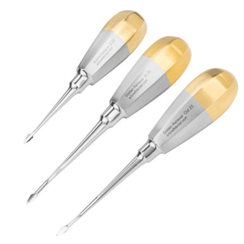Golden Retriever Spears Set of 3