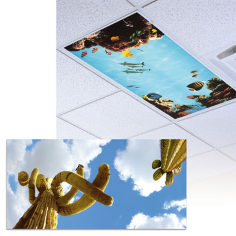 Saguaro Cactus Light Panel