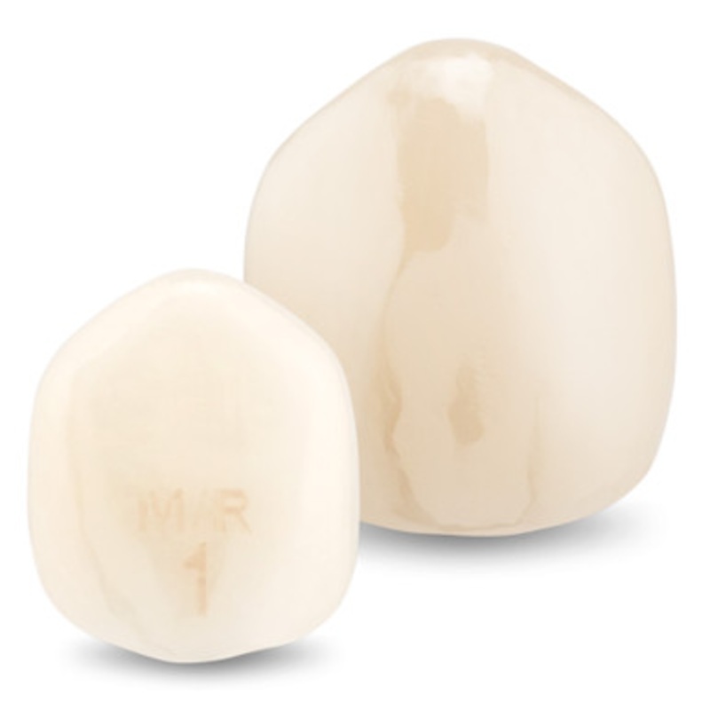 Acero Zirconia Lower Primary Canines M & R