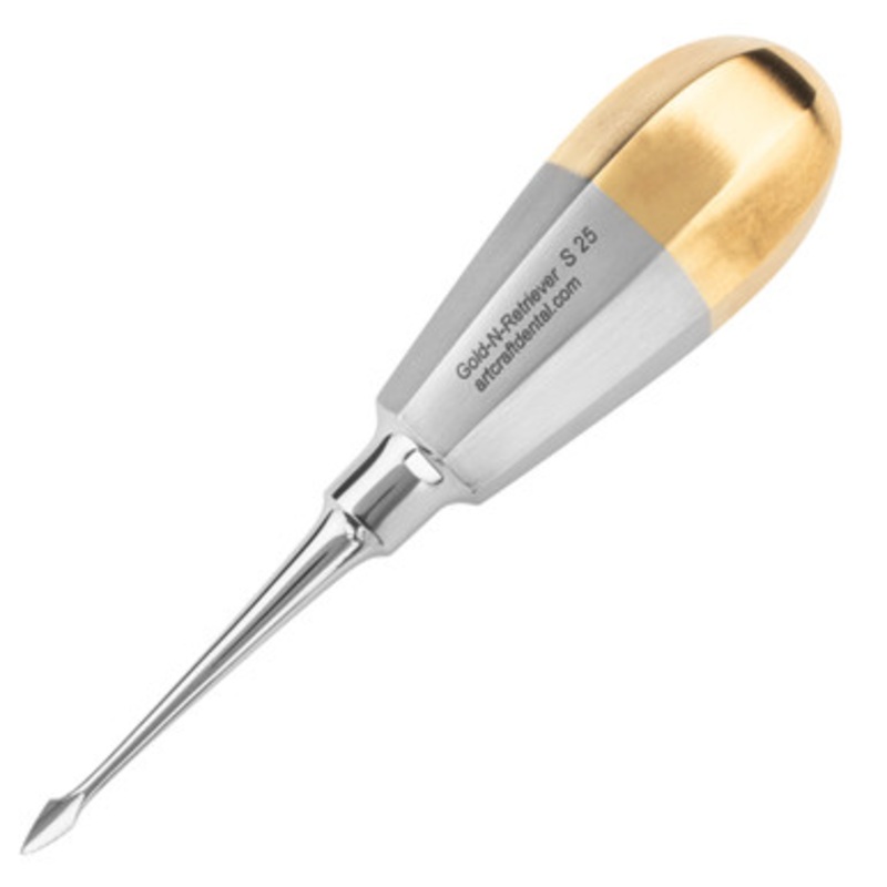 Golden Retriever Spear Straight